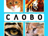 Игра 4 Фото и Слово Игра 4 Фото и Слово