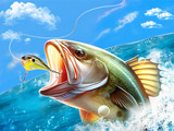 Fishing Baron