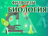 Игра Филворды: Биология Игра Филворды: Биология
