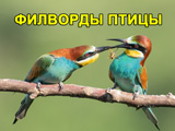Игра Филворды: Птицы Игра Филворды: Птицы