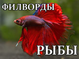 Игра Филворды: Рыбы Игра Филворды: Рыбы