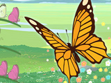 Butterfly Sort Puzzle Butterfly Sort Puzzle