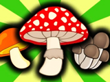 Игра Грибное Слияние: Тайны Леса Игра Грибное Слияние: Тайны Леса