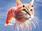 Игра Итальянские Нейро Животные Игра Итальянские Нейро Животные