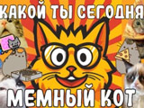 Игра Какой Ты Сегодня Мемный Кот? Игра Какой Ты Сегодня Мемный Кот?