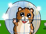 Downhill Hamsterball