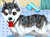 Игра Купание Милой Собаки Игра Купание Милой Собаки