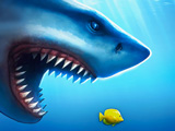 Mega Shark Mega Shark
