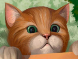 Игра Милые Кошки Игра Милые Кошки