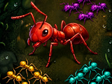 Ant Mazes