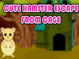 Cute Hamster Escape From Cage Cute Hamster Escape From Cage