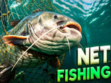 Net Fishing Net Fishing