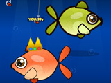 Fishy Feast