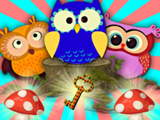 Crazy Owls Crazy Owls