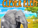 Clever Elephant