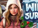 Winter Surprises Winter Surprises
