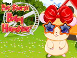 Pet Stars: Baby Hamster