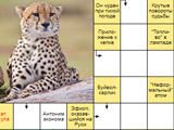 Сканворды Умеренной Сложности Сканворды Умеренной Сложности