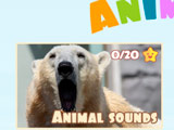 Which Animal Makes This Sound Which Animal Makes This Sound
