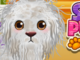 Игра Уход за Бродячим Щенком Игра Уход за Бродячим Щенком