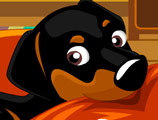 Игра Моя Сладкая Собака Игра Моя Сладкая Собака