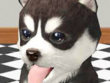 Игра Симулятор Собаки: Щенок Игра Симулятор Собаки: Щенок