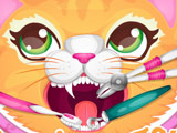 Precious Kitty Dentist Precious Kitty Dentist